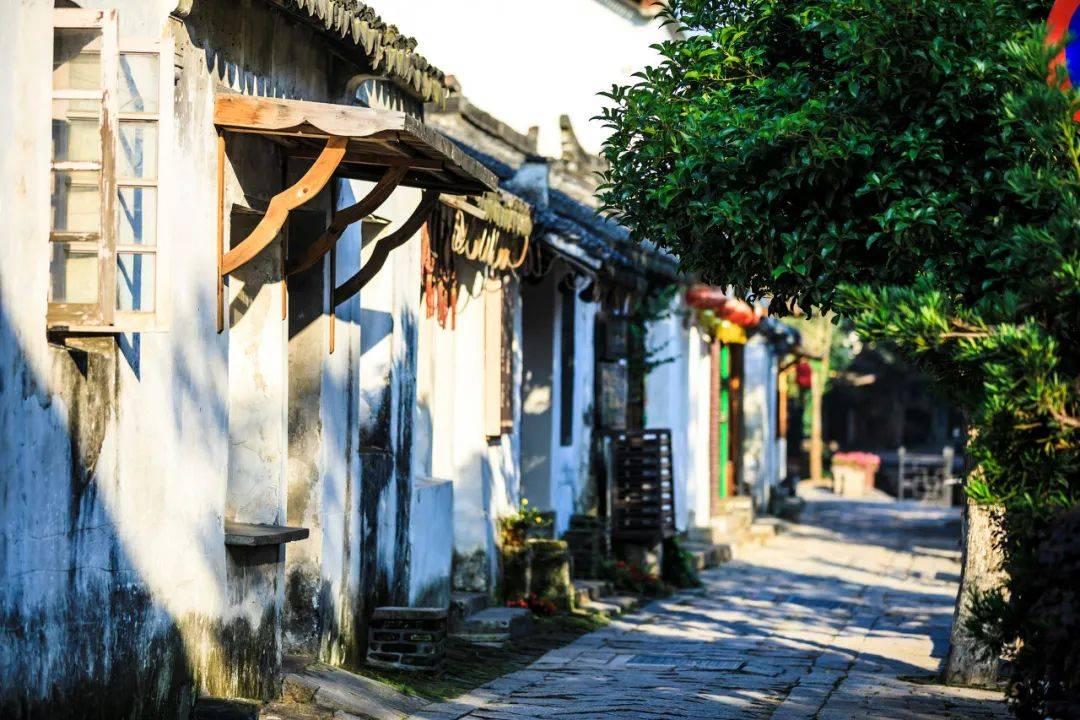 踏雪前行 赴法治之约
